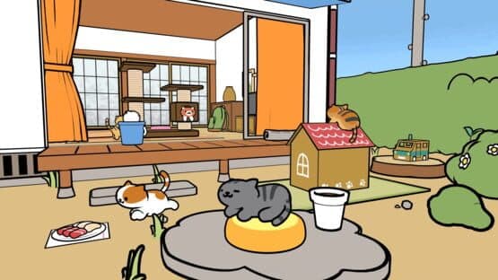 Neko Atsume VR — screenshot 1