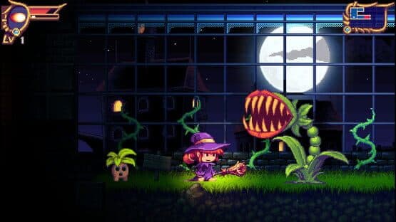 Mystik Belle: Enchanted Edition — screenshot 2
