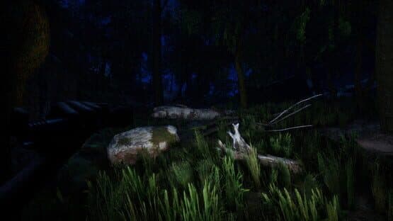 Forest — screenshot 2