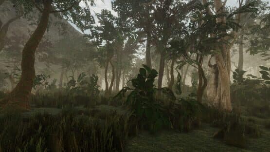Forest — screenshot 3