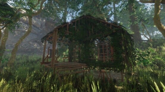 Forest — screenshot 4