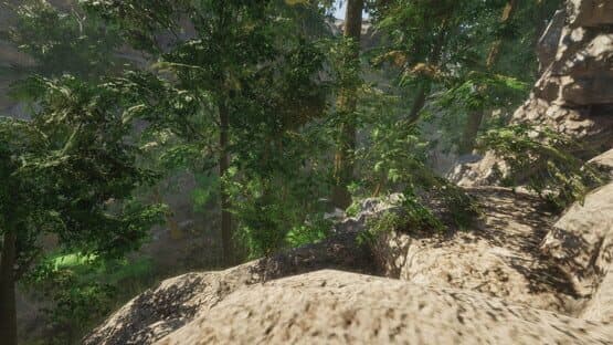 Forest — screenshot 5