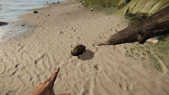 Project Castaway — screenshot 5