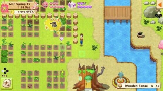 Harvest Moon: Light of Hope - Complete Special Edition — screenshot 4