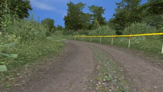 Richard Burns Rally — screenshot 3