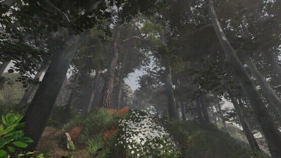 Broken — screenshot 4