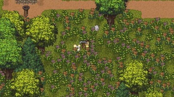Island Berry — screenshot 1