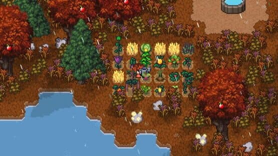 Island Berry — screenshot 2