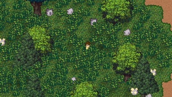Island Berry — screenshot 5