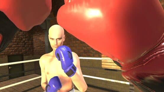 Era of Combat: Boxing — screenshot 3