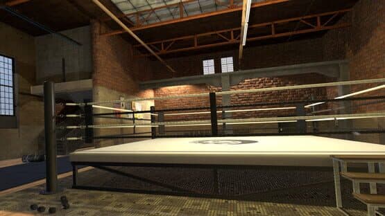Era of Combat: Boxing — screenshot 5