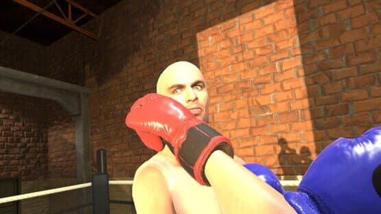 Era of Combat: Boxing — screenshot 7