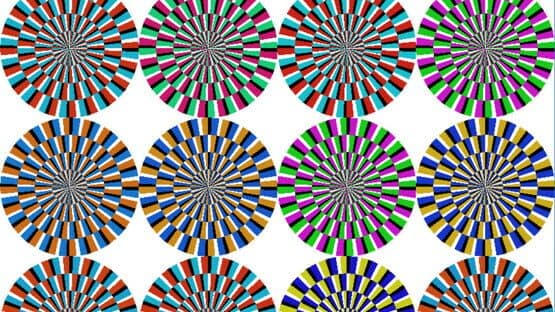 IllusionCircle — screenshot 4