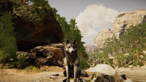 Animal Simulator — screenshot 1