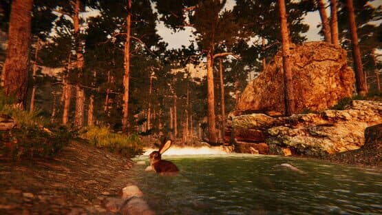 Animal Simulator — screenshot 2