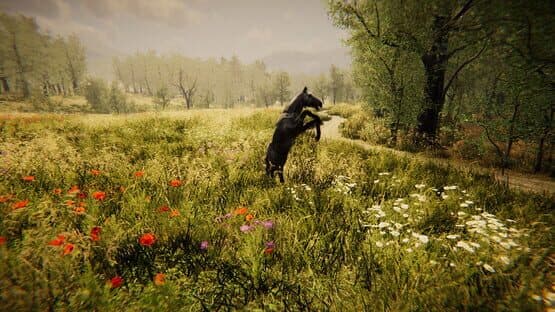 Animal Simulator — screenshot 4