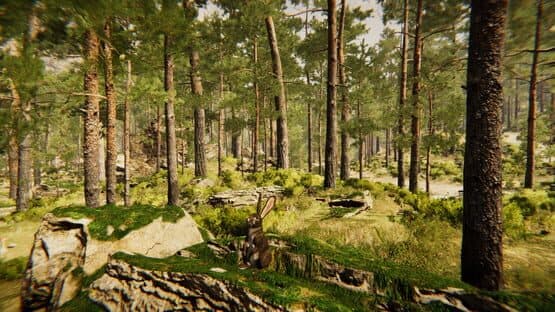 Animal Simulator — screenshot 7