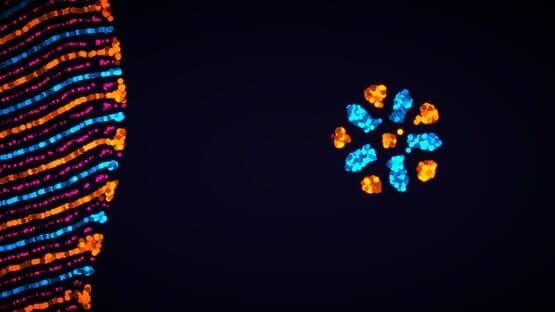 Parametric Creature: Lab — screenshot 1