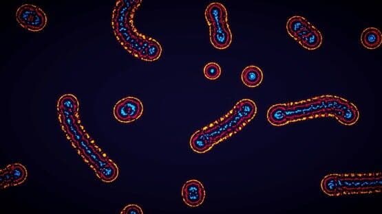 Parametric Creature: Lab — screenshot 3
