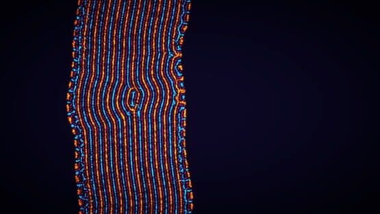 Parametric Creature: Lab — screenshot 6