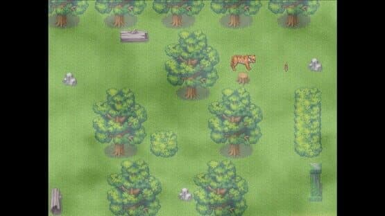 Timmy the Tiger's Big Adventure — screenshot 3