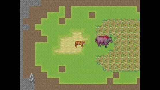 Timmy the Tiger's Big Adventure — screenshot 7