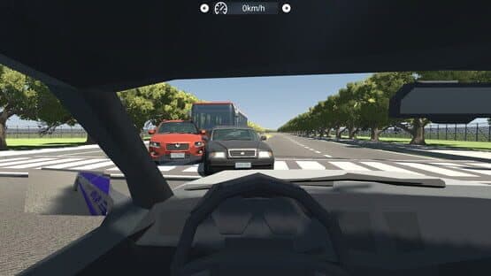 Chinese Driving Test Simulator — screenshot 5