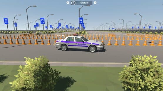 Chinese Driving Test Simulator — screenshot 6