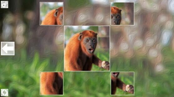 Puzzle Art: Primates — screenshot 1