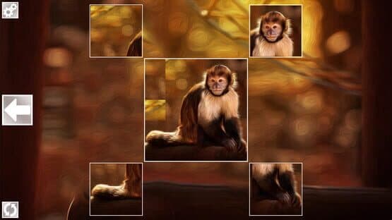 Puzzle Art: Primates — screenshot 2