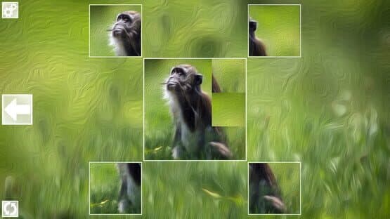 Puzzle Art: Primates — screenshot 3
