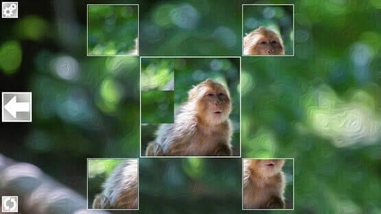 Puzzle Art: Primates — screenshot 4