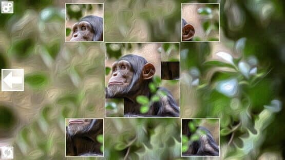 Puzzle Art: Primates — screenshot 5