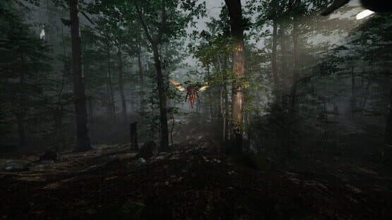 Remoteness — screenshot 5