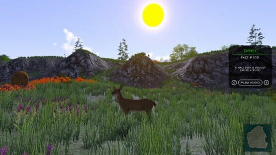 In the Wild — screenshot 1