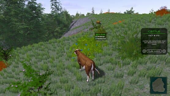 In the Wild — screenshot 3