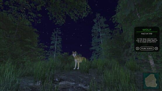In the Wild — screenshot 4