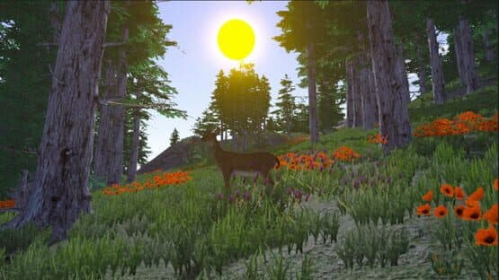 In the Wild — screenshot 8