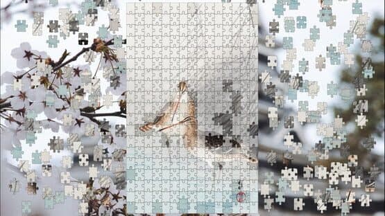 Pieces of Beauty 2 — screenshot 4