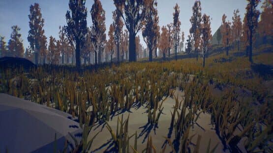 Elusive World — screenshot 1
