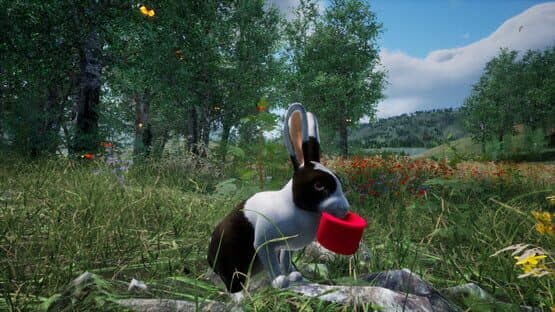 Rabbit Meadow — screenshot 1