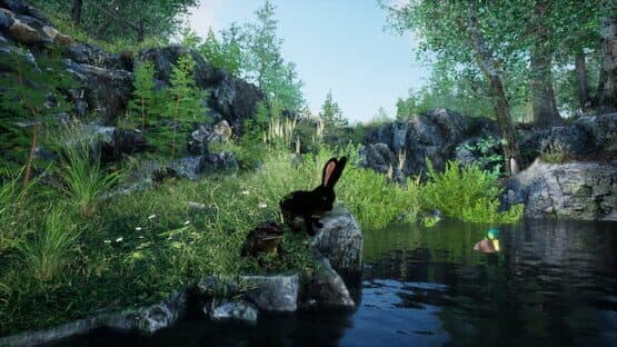 Rabbit Meadow — screenshot 2