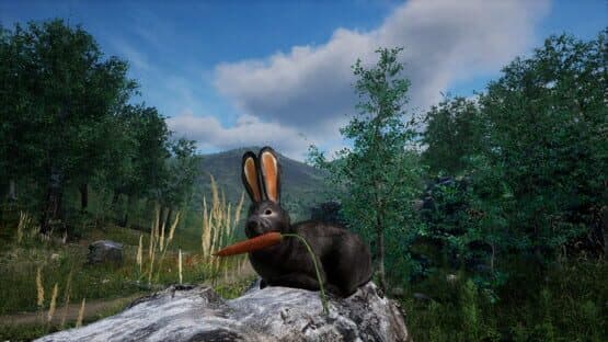 Rabbit Meadow — screenshot 6