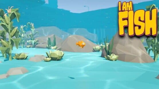 Bossa Presents — screenshot 3