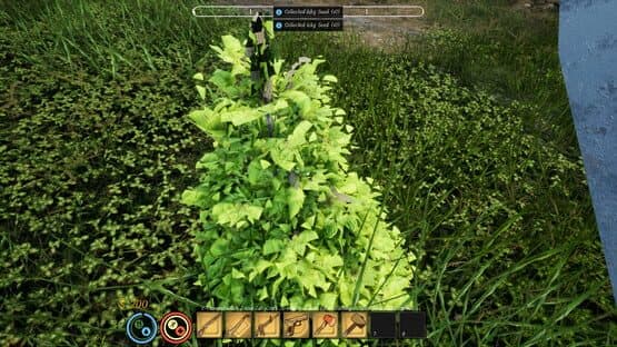 Survival Girls — screenshot 2