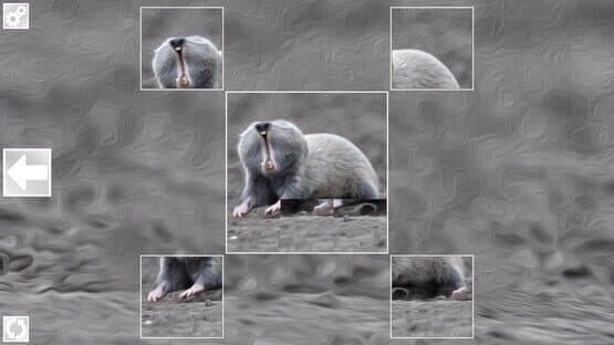 Puzzle Art: Rodents — screenshot 2