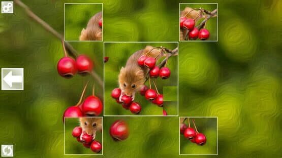 Puzzle Art: Rodents — screenshot 3