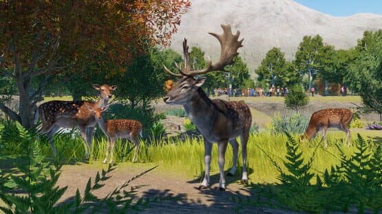 Planet Zoo: Europe Pack — screenshot 5