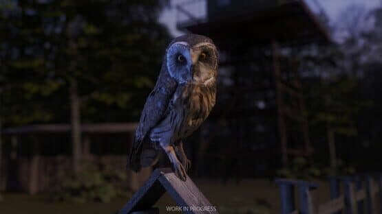 Birding Simulator — screenshot 1
