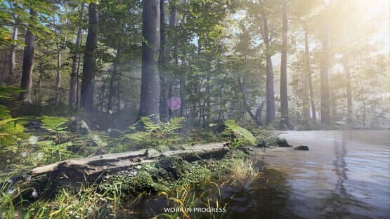 Birding Simulator — screenshot 8